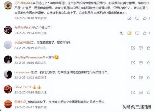 陈晨爆料假球视频播放,真相大白，足球界再掀波澜  第1张